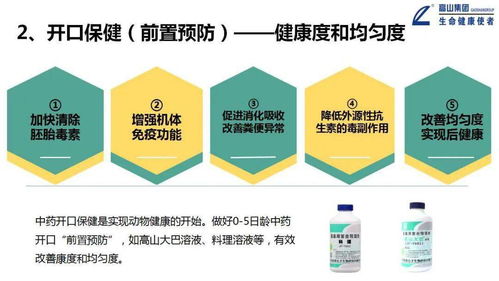 大力推進一體化形象服務體系建設，推動高山中獸藥向更高水平發展